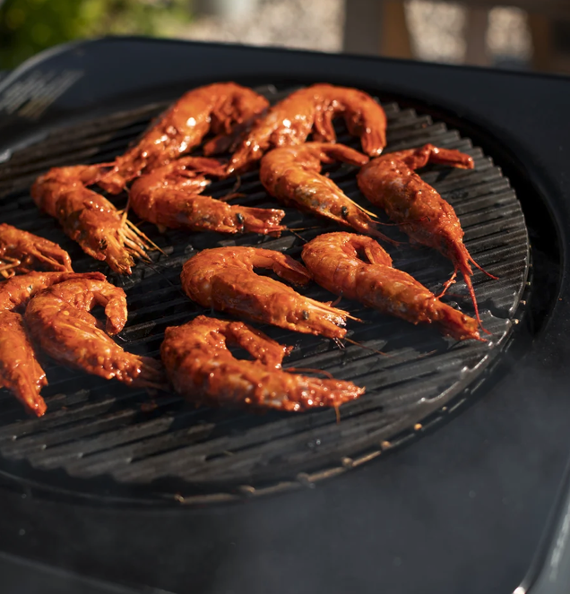 Everdure 4K Charcoal Grill image — photo 5