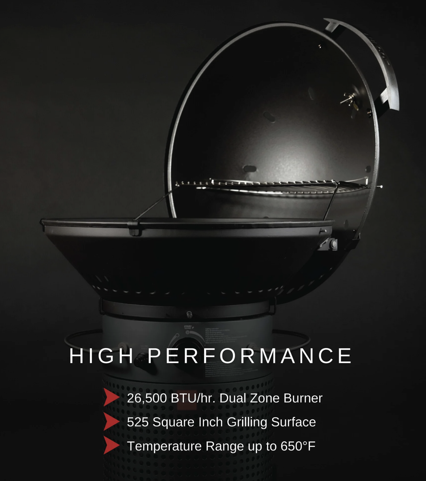 Fuego Professional F24C 24" Gas Grill image — photo 2
